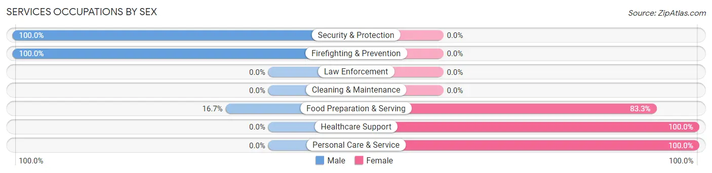 Services Occupations by Sex in Zip Code 56035