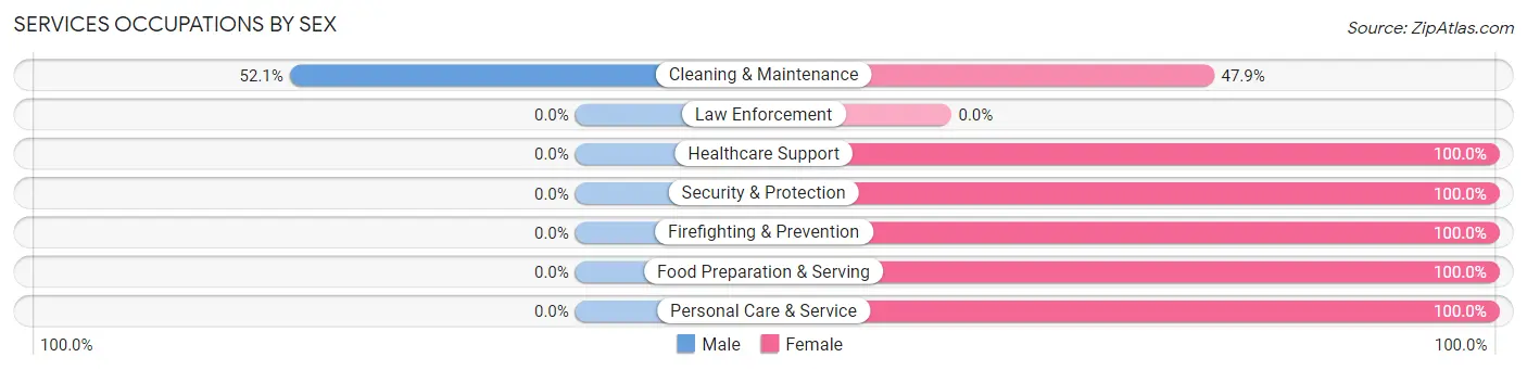 Services Occupations by Sex in Zip Code 56037