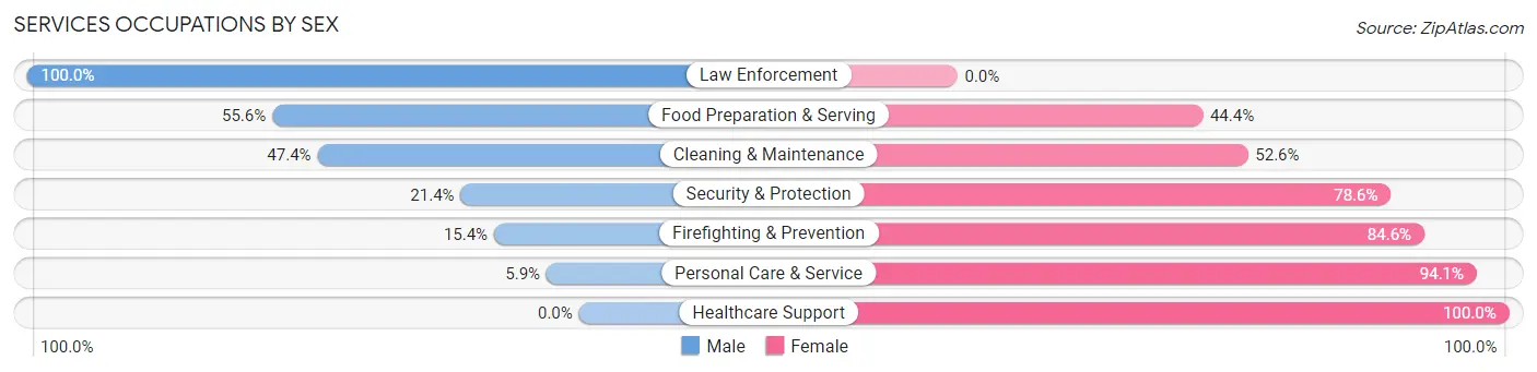 Services Occupations by Sex in Zip Code 56041