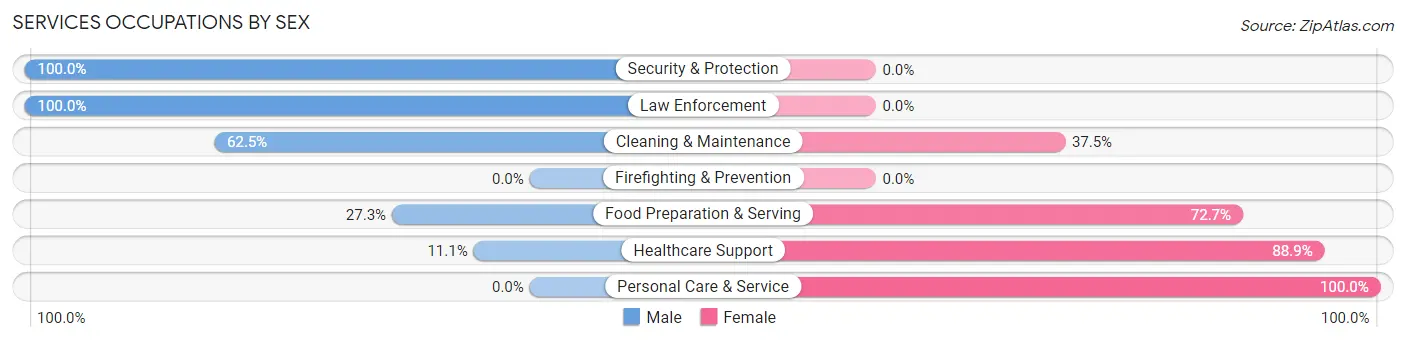 Services Occupations by Sex in Zip Code 56042
