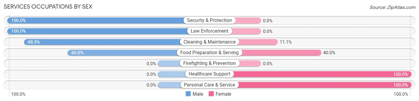 Services Occupations by Sex in Zip Code 56045