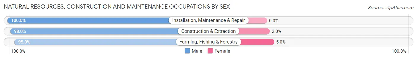Natural Resources, Construction and Maintenance Occupations by Sex in Zip Code 56048