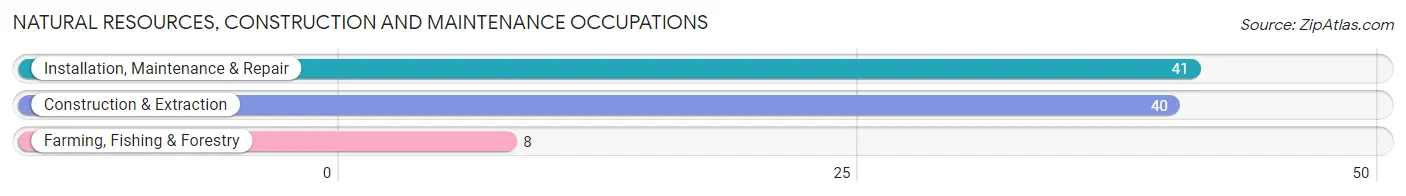 Natural Resources, Construction and Maintenance Occupations in Zip Code 56050