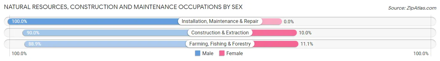 Natural Resources, Construction and Maintenance Occupations by Sex in Zip Code 56054