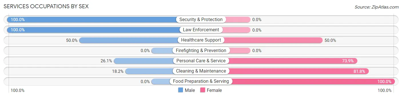 Services Occupations by Sex in Zip Code 56054