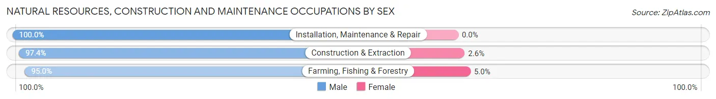 Natural Resources, Construction and Maintenance Occupations by Sex in Zip Code 56058