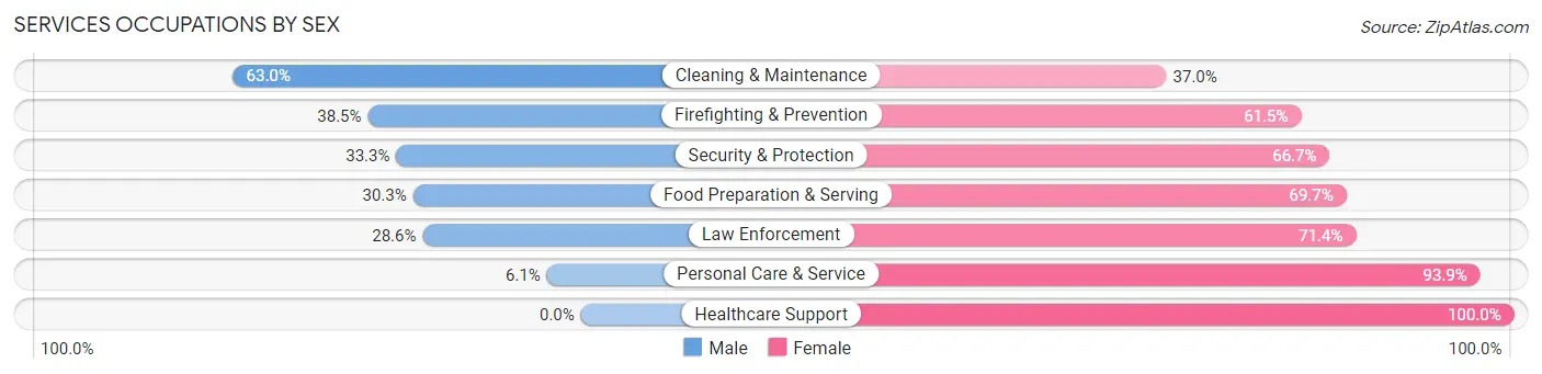 Services Occupations by Sex in Zip Code 56062