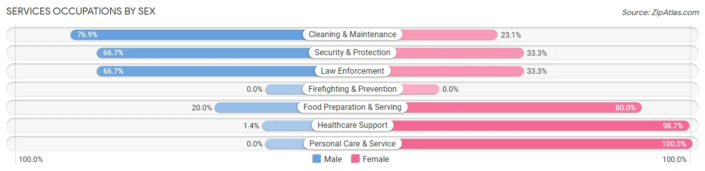 Services Occupations by Sex in Zip Code 56065