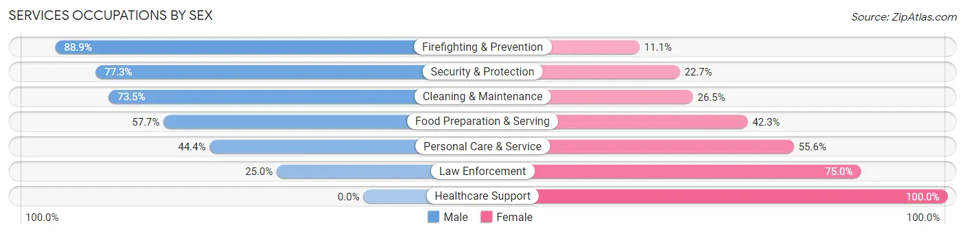Services Occupations by Sex in Zip Code 56069