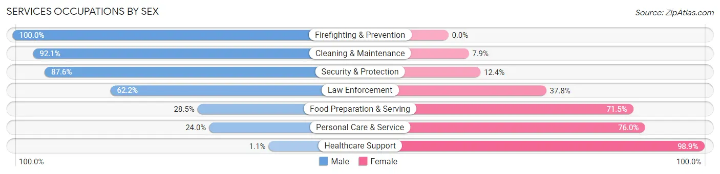 Services Occupations by Sex in Zip Code 56071