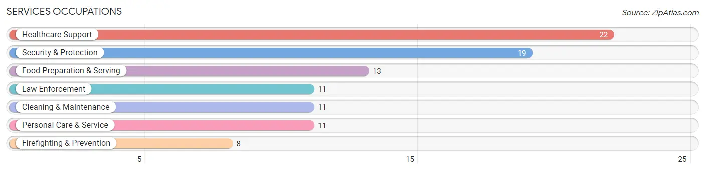 Services Occupations in Zip Code 56080