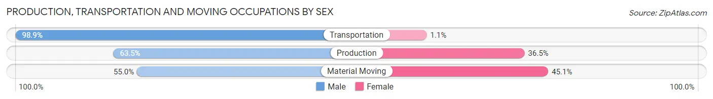 Production, Transportation and Moving Occupations by Sex in Zip Code 56085