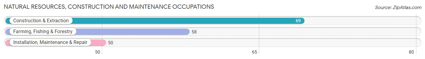 Natural Resources, Construction and Maintenance Occupations in Zip Code 56088