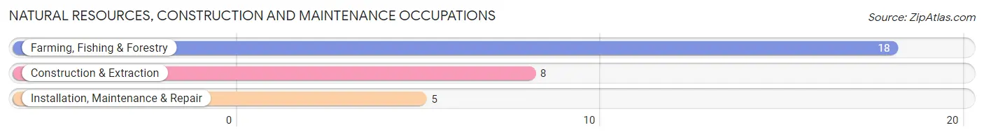 Natural Resources, Construction and Maintenance Occupations in Zip Code 56118