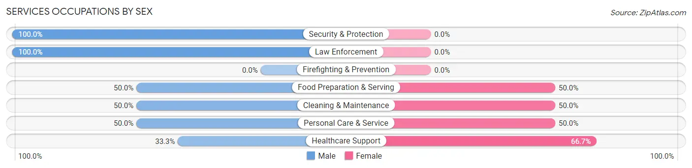 Services Occupations by Sex in Zip Code 56121