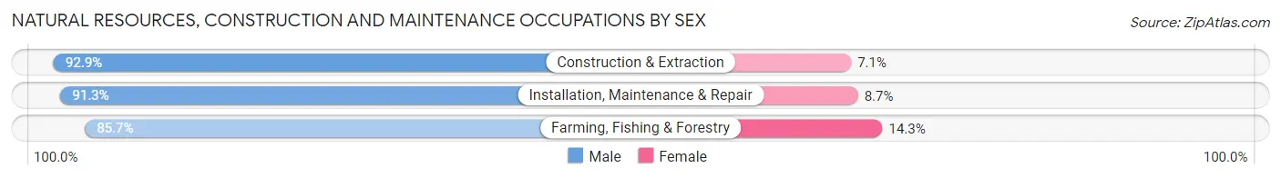 Natural Resources, Construction and Maintenance Occupations by Sex in Zip Code 56122
