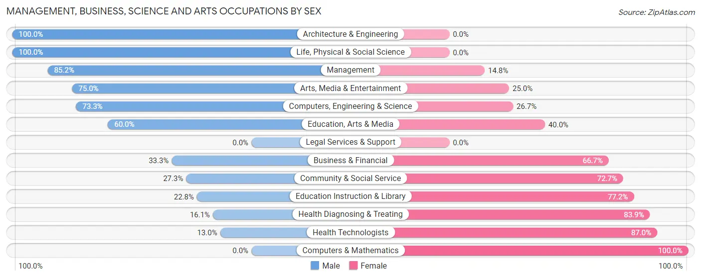Management, Business, Science and Arts Occupations by Sex in Zip Code 56128