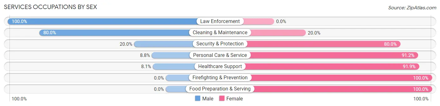 Services Occupations by Sex in Zip Code 56128