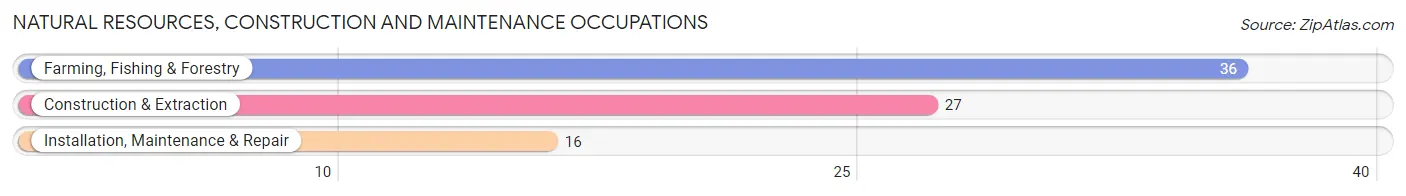 Natural Resources, Construction and Maintenance Occupations in Zip Code 56129