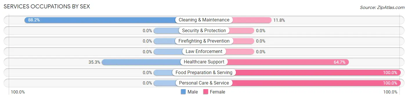 Services Occupations by Sex in Zip Code 56129