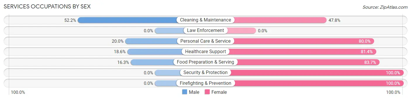 Services Occupations by Sex in Zip Code 56131