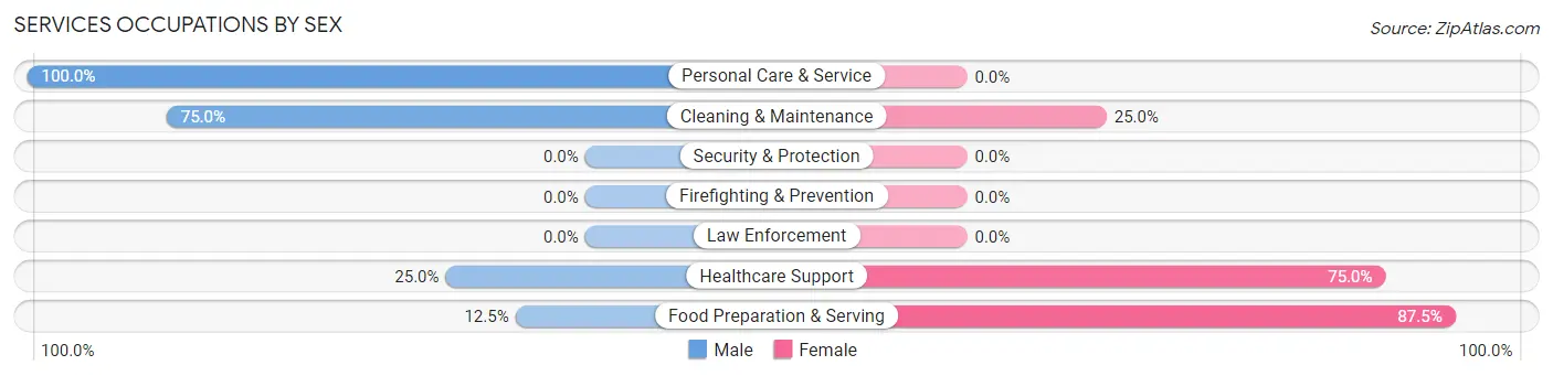 Services Occupations by Sex in Zip Code 56132