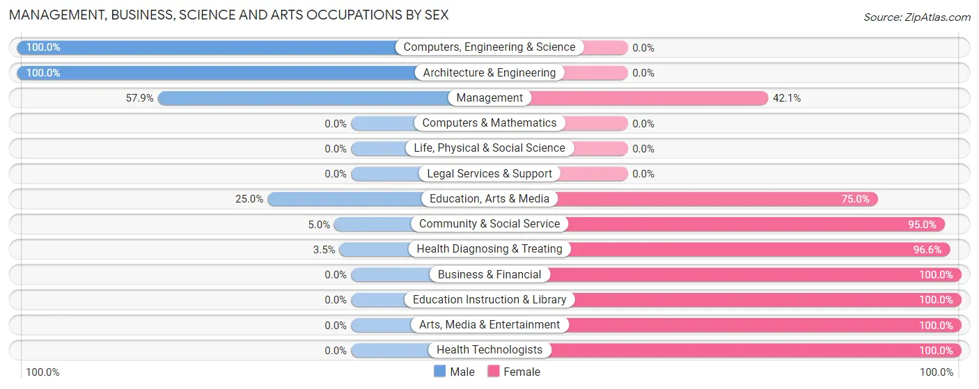 Management, Business, Science and Arts Occupations by Sex in Zip Code 56139