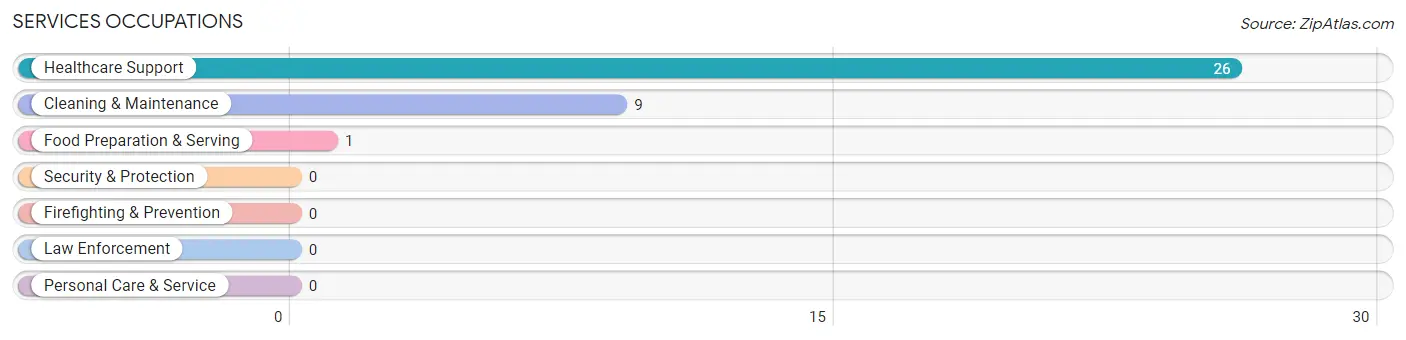 Services Occupations in Zip Code 56139