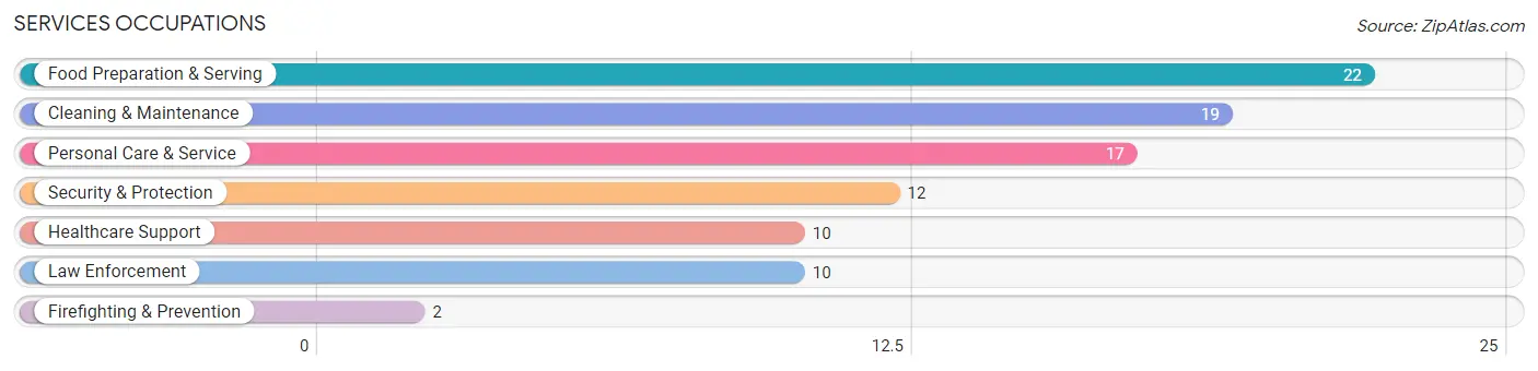 Services Occupations in Zip Code 56142