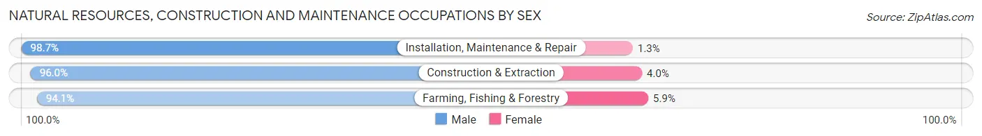 Natural Resources, Construction and Maintenance Occupations by Sex in Zip Code 56143