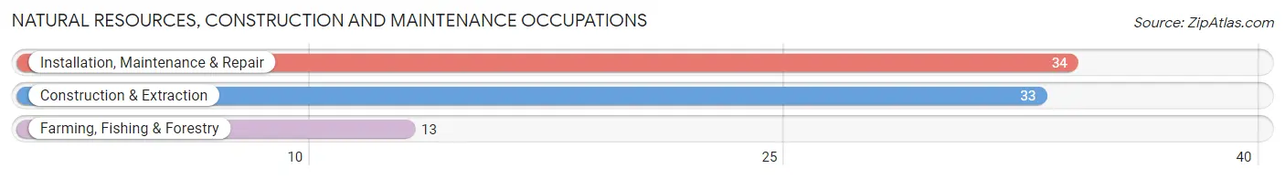 Natural Resources, Construction and Maintenance Occupations in Zip Code 56152