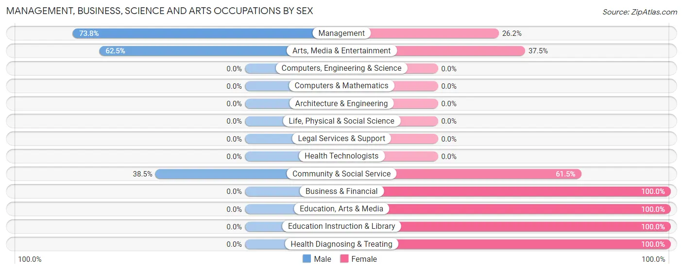 Management, Business, Science and Arts Occupations by Sex in Zip Code 56155