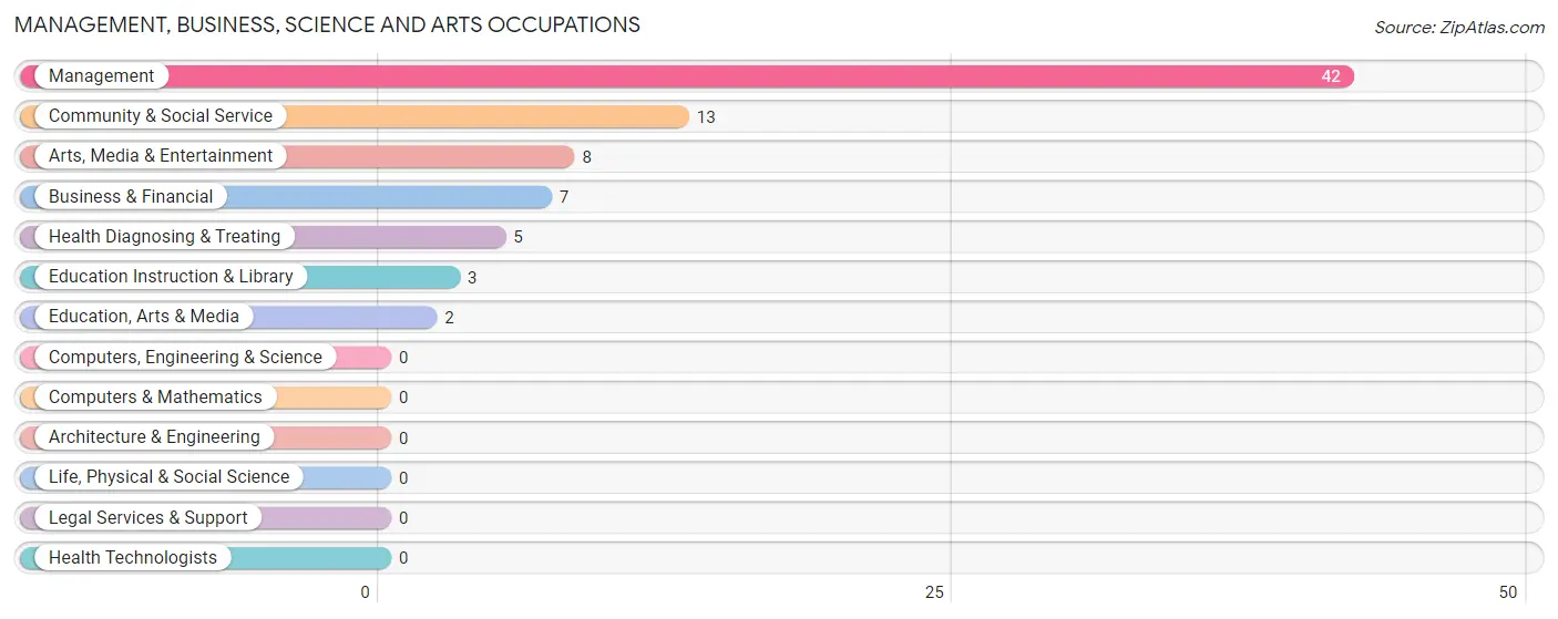 Management, Business, Science and Arts Occupations in Zip Code 56155