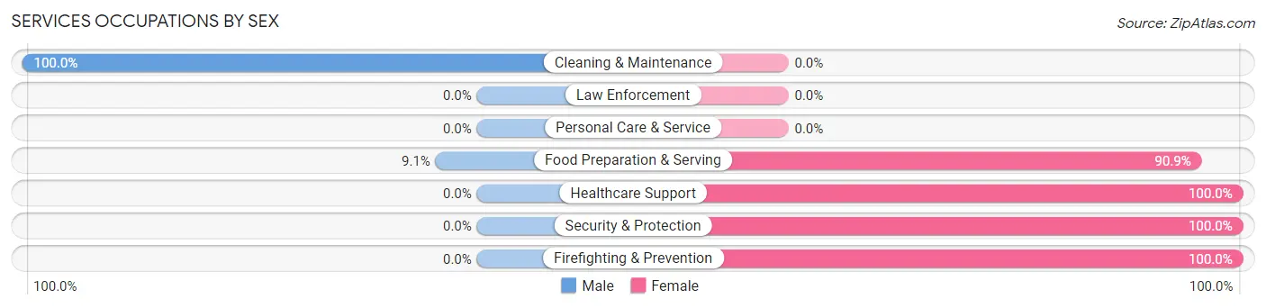 Services Occupations by Sex in Zip Code 56160