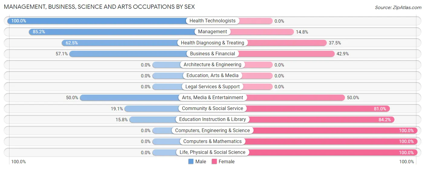 Management, Business, Science and Arts Occupations by Sex in Zip Code 56161