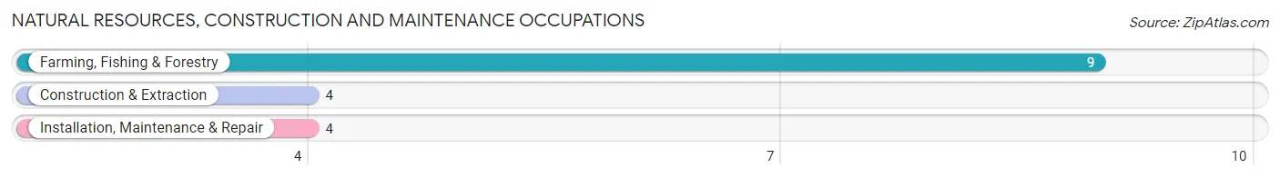 Natural Resources, Construction and Maintenance Occupations in Zip Code 56162