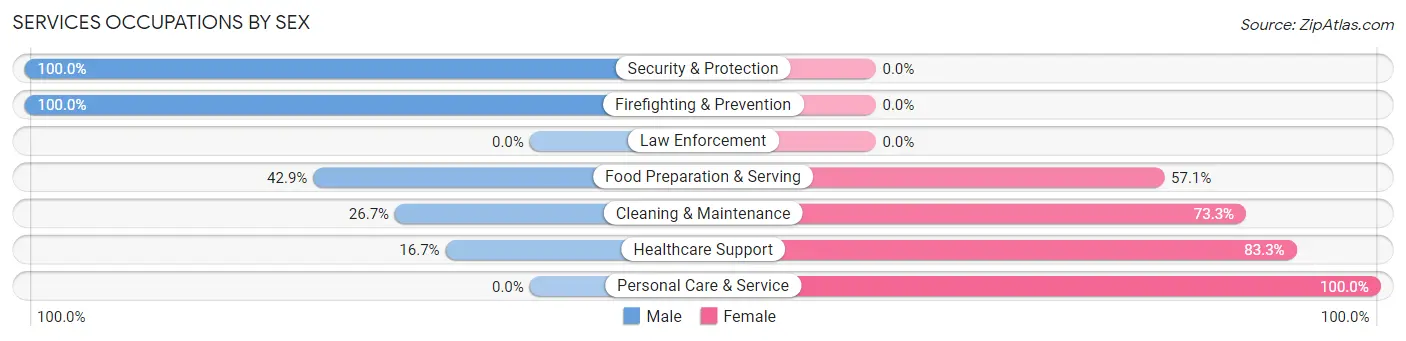 Services Occupations by Sex in Zip Code 56168