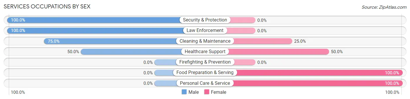 Services Occupations by Sex in Zip Code 56170