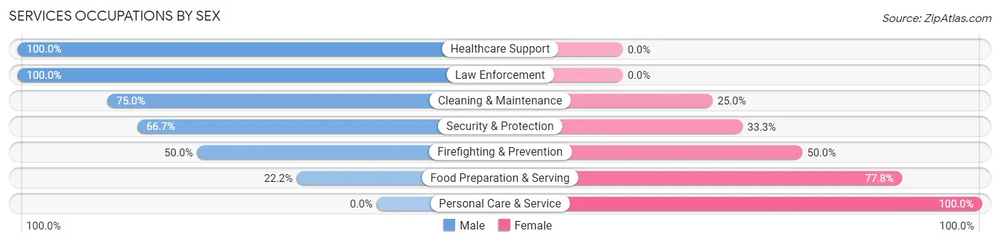 Services Occupations by Sex in Zip Code 56173