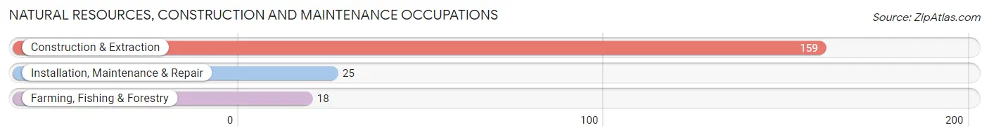 Natural Resources, Construction and Maintenance Occupations in Zip Code 56175