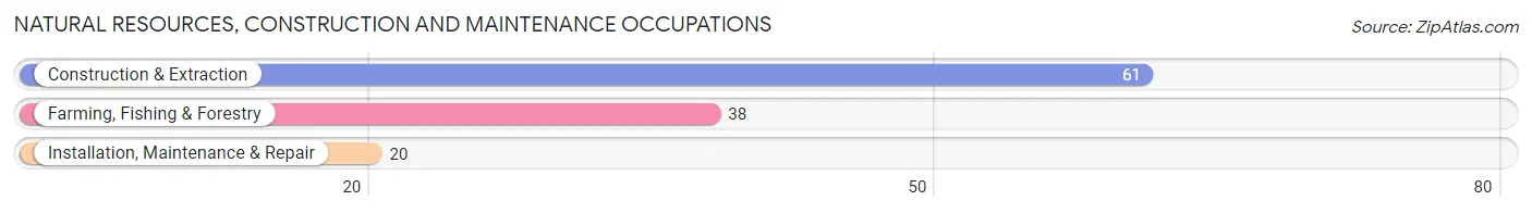 Natural Resources, Construction and Maintenance Occupations in Zip Code 56183