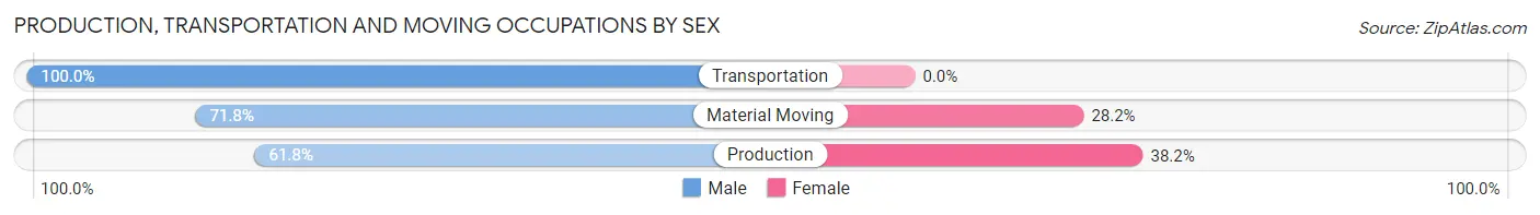 Production, Transportation and Moving Occupations by Sex in Zip Code 56187
