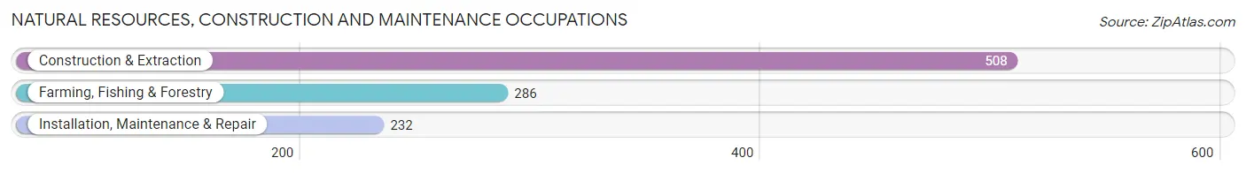 Natural Resources, Construction and Maintenance Occupations in Zip Code 56201