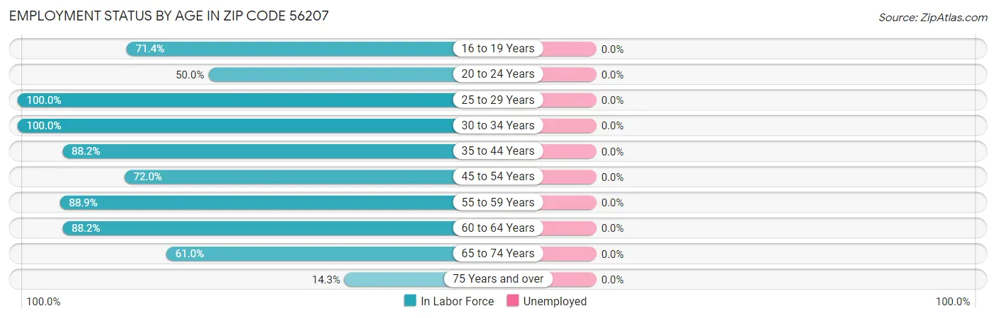 Employment Status by Age in Zip Code 56207