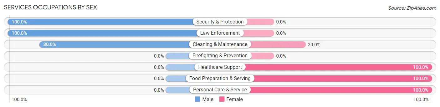 Services Occupations by Sex in Zip Code 56211