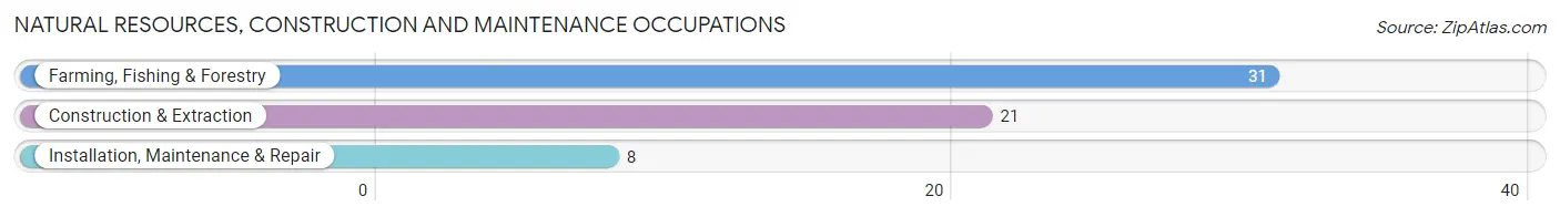 Natural Resources, Construction and Maintenance Occupations in Zip Code 56212