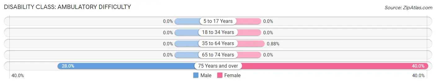 Disability in Zip Code 56216: <span>Ambulatory Difficulty</span>