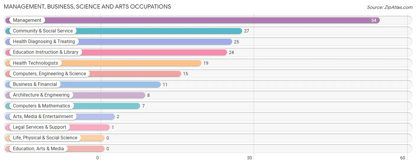 Management, Business, Science and Arts Occupations in Zip Code 56216