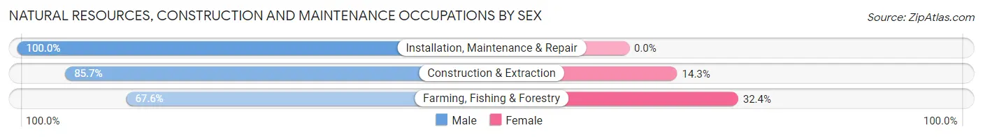Natural Resources, Construction and Maintenance Occupations by Sex in Zip Code 56222