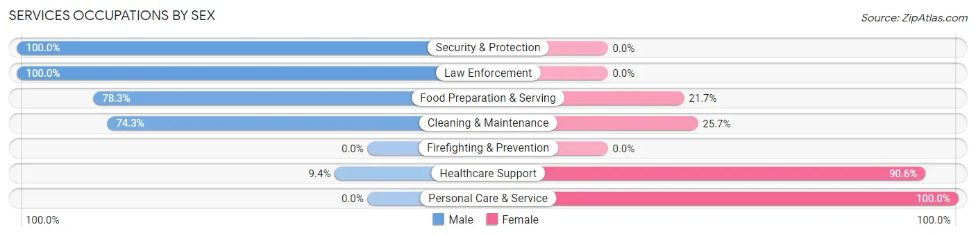 Services Occupations by Sex in Zip Code 56222